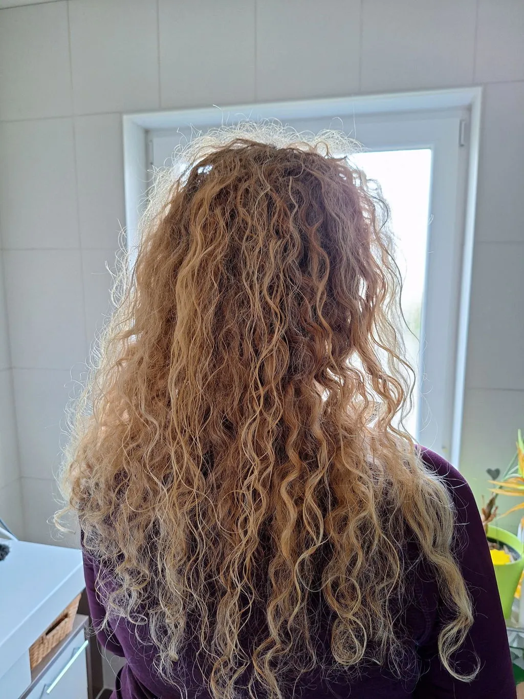 ŌMAKA Essentials hårpleiesett fast sjampo og conditioner vegansk