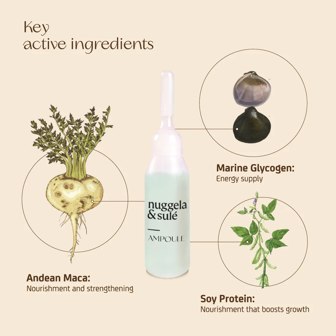 Nuggela & Sulé Hair Regenerator ampuller 4x10 ml