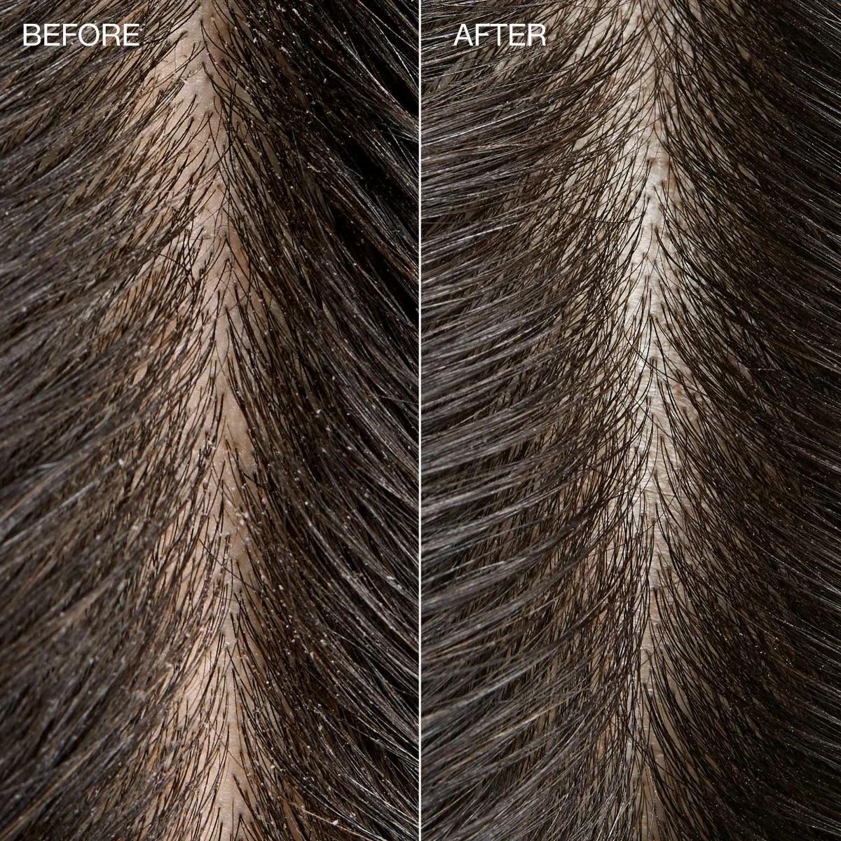 Paul Mitchell Tea Tree Special hodebunnsskrubb 184 g salt