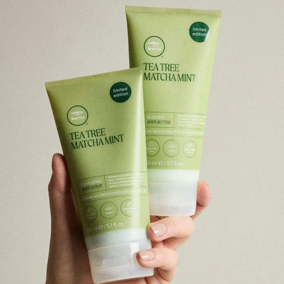 Paul Mitchell Tea Tree Matcha Mint kroppssett skrubb + krem