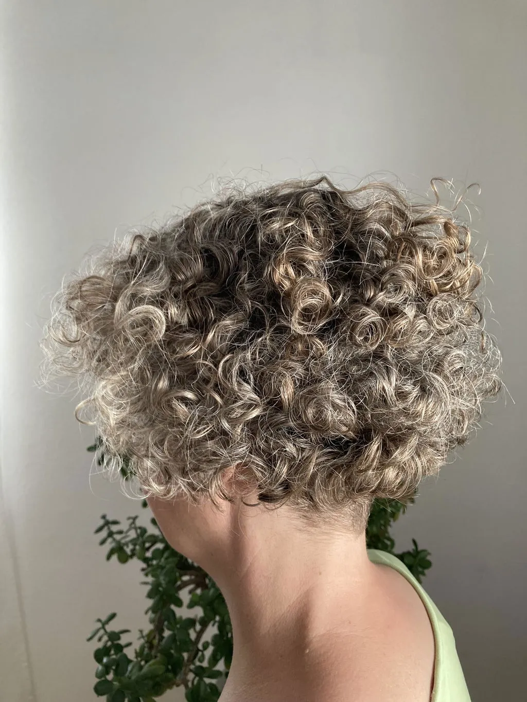 ŌMAKA Locken Conditioner 2in1 balsam silikonfri